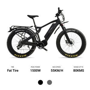 EMTB is the quality ebikes made by chinebike.com