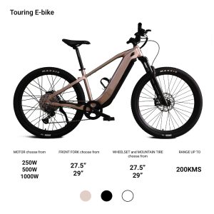 EMTB is the quality ebikes made by chinebike.com