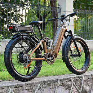 fat tire electric bicycles with double batteries