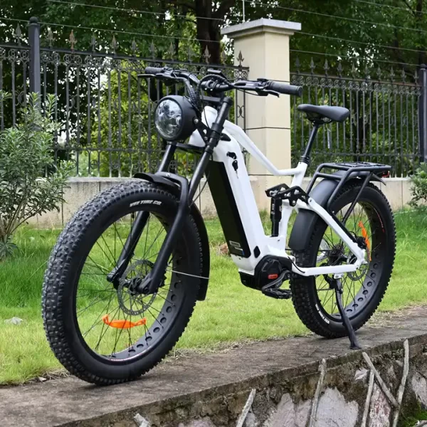 fat tire ebikes