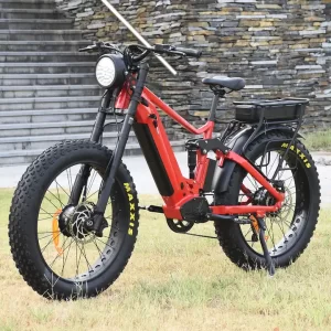 fat tire electric bicycles with double batteries