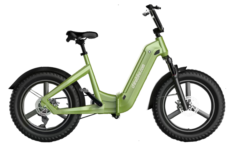 Electric Bikes